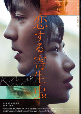 月色真美·那年盛夏